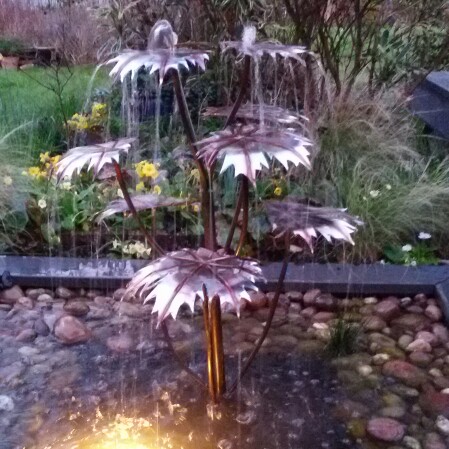 Barbara's garden