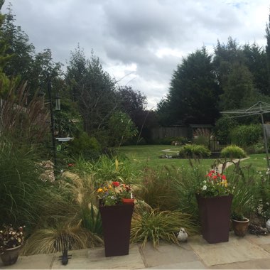 Barry's garden