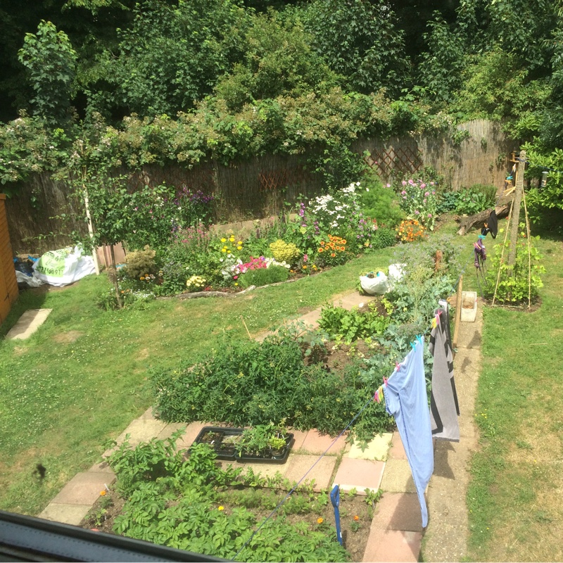 Alexandra's garden