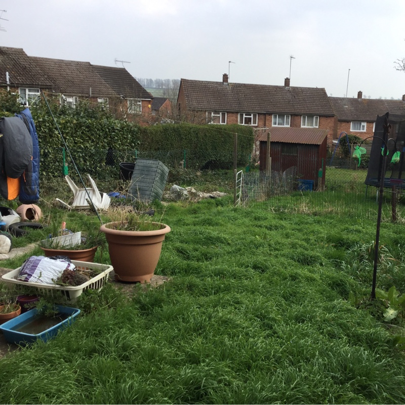 Michelle's garden