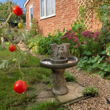 Roxana's garden