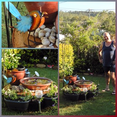 Carol's garden