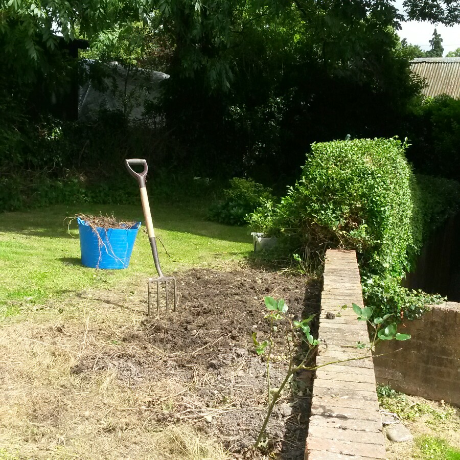 Carole's garden