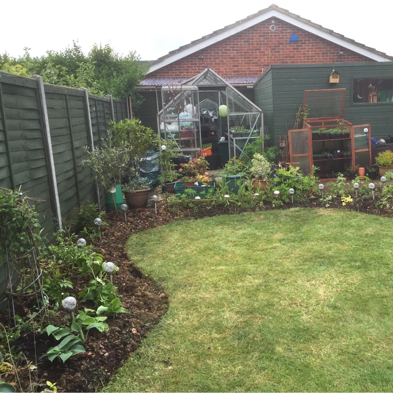 Carole's garden
