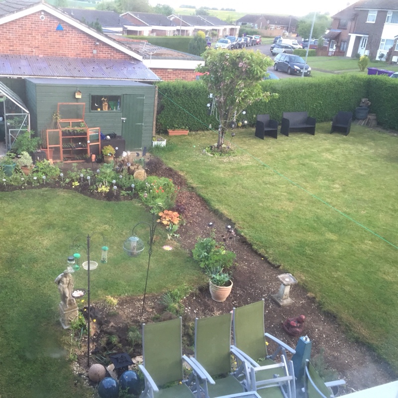 Carole's garden