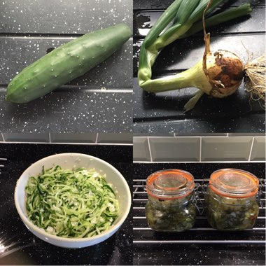 Cucumis Sativus 'Marketmore'