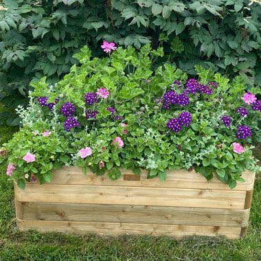 Caroline's garden