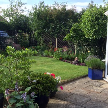 Carolyn's garden
