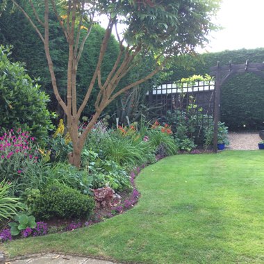 Carolyn's garden