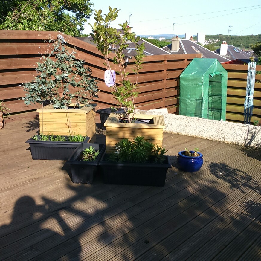 Caroline 's garden
