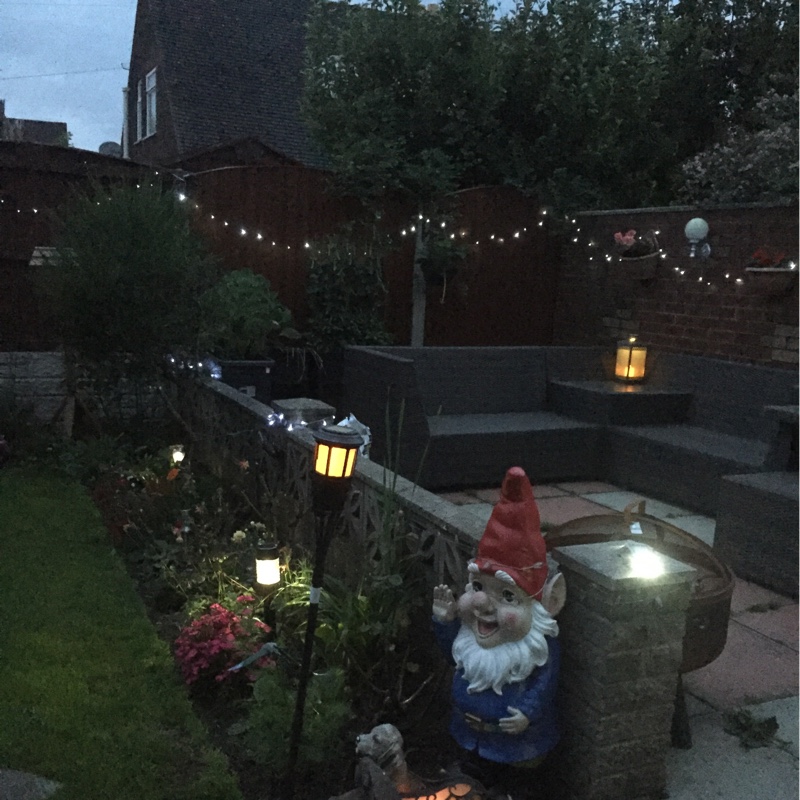 Cath's garden