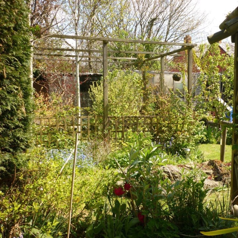 Carole's garden