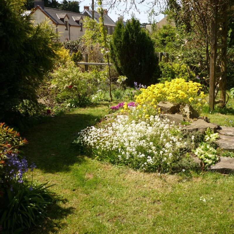 Carole's garden