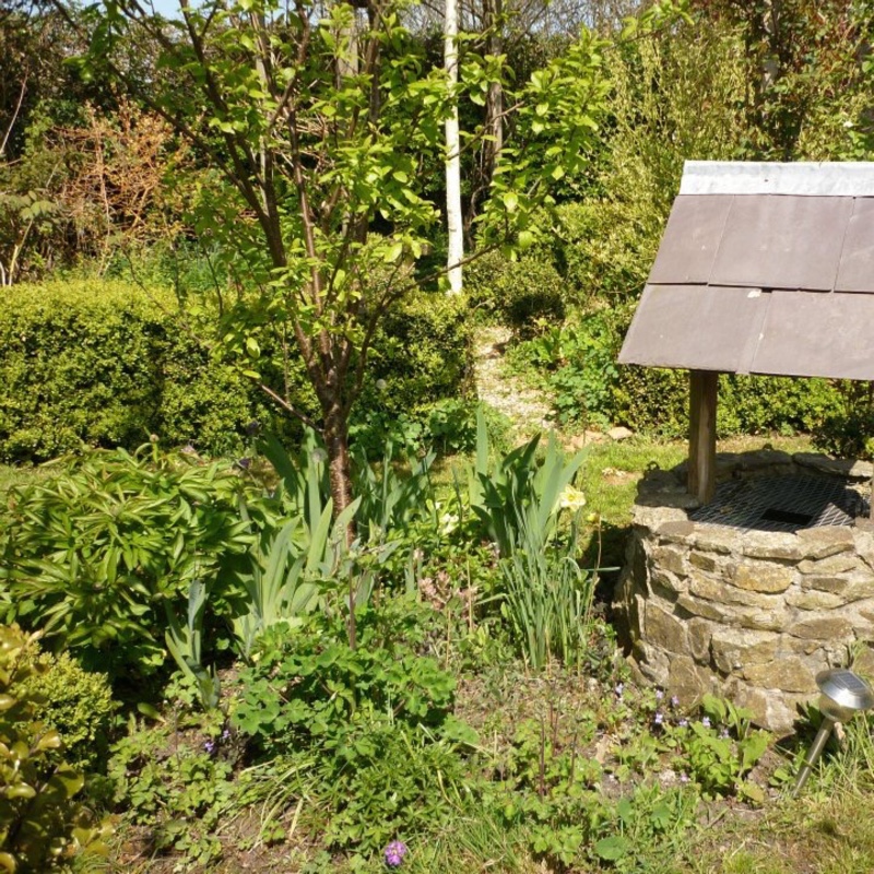 Carole's garden