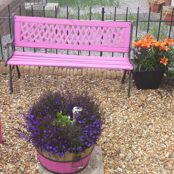 Carol's garden