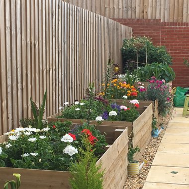 Ceri-rose's garden