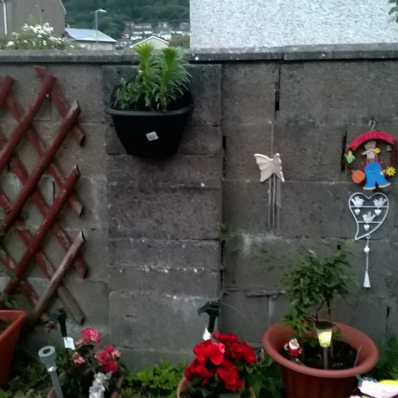 Cheryl's garden