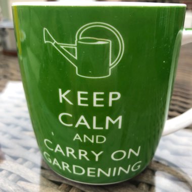 Cheryl's garden