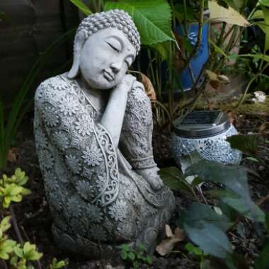 Chiara's garden
