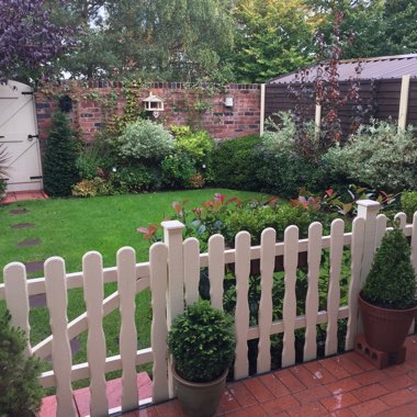 Chris's garden