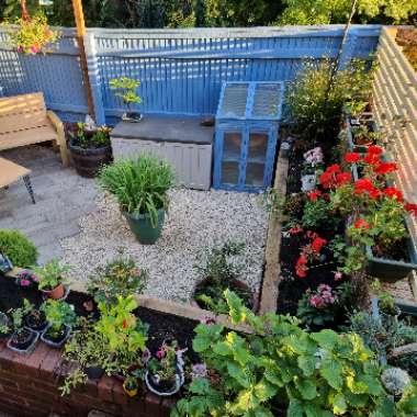 Christopher's garden