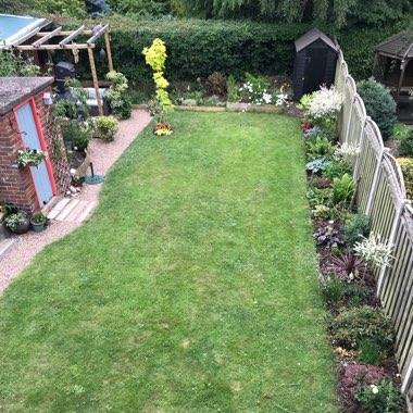 Christopher's garden