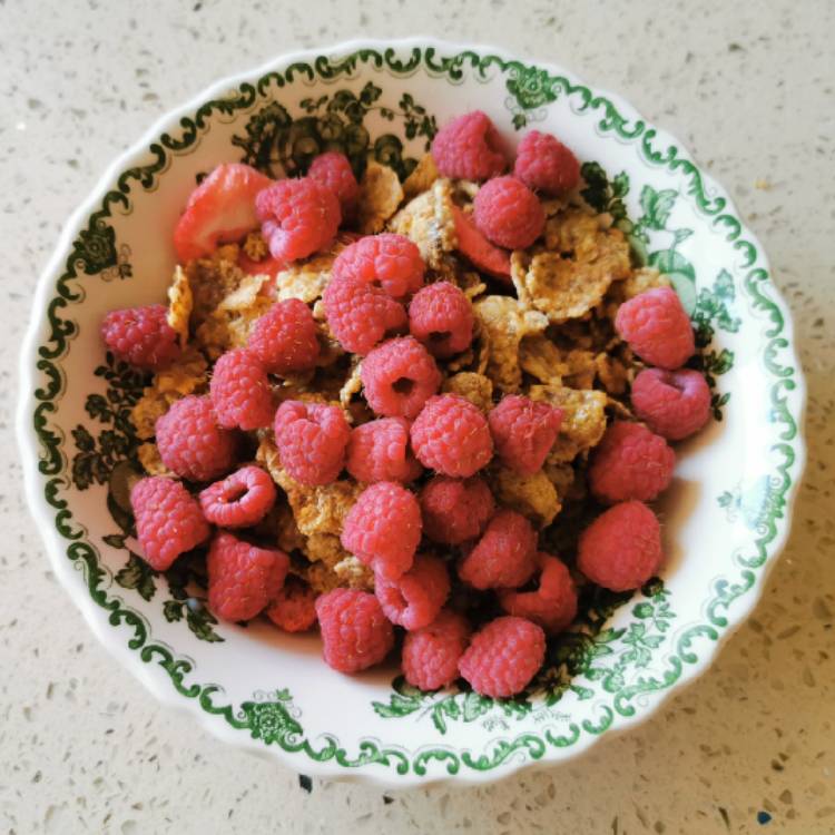 Plant image Rubus idaeus