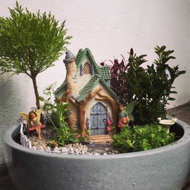 Tracy's garden