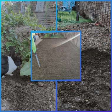 Claire's garden