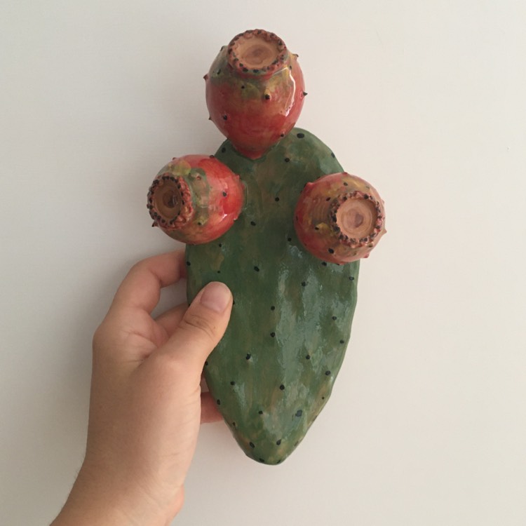 plant image 1511265