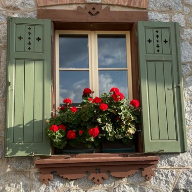 Geranium