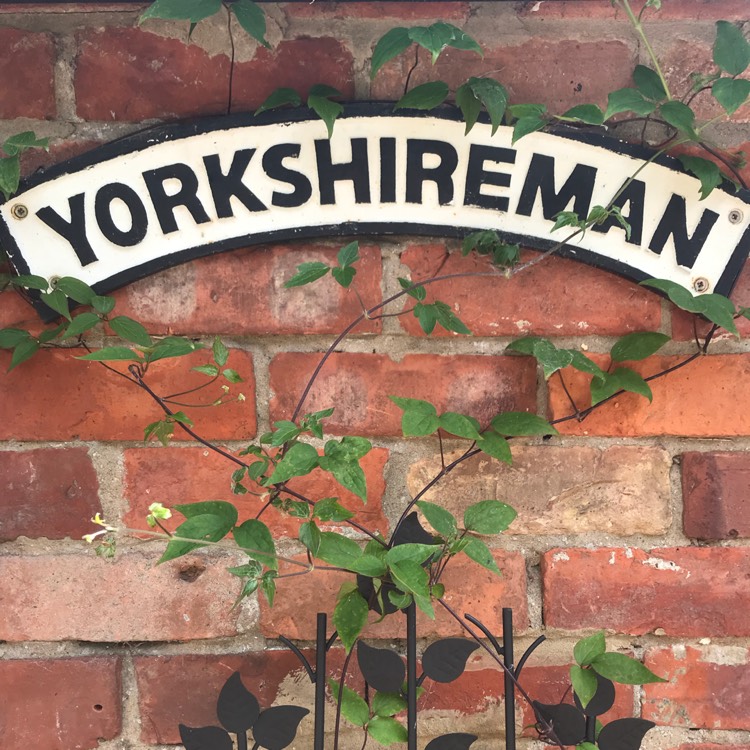 plant image 821073 plant image 821073