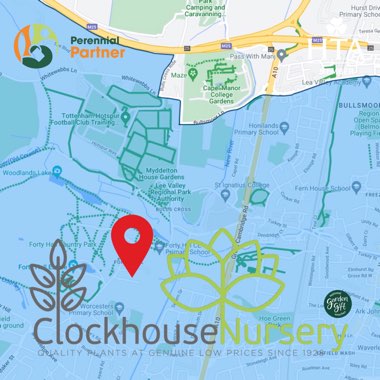 Clockhouse's garden
