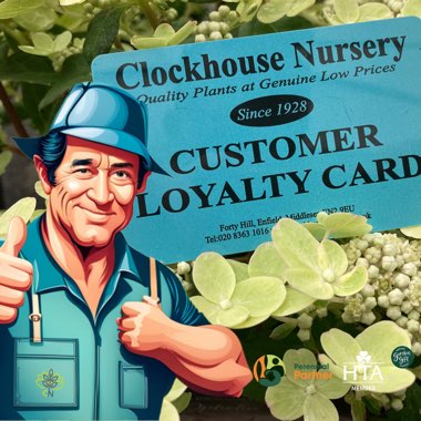 Clockhouse's garden