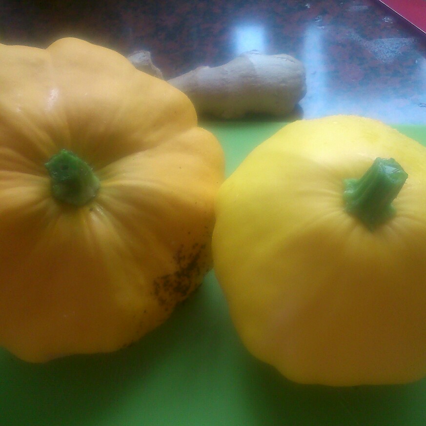 Plant image Cucurbita Pepo 'Sunburst Patty Pan'