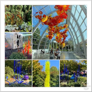 Mary's garden
