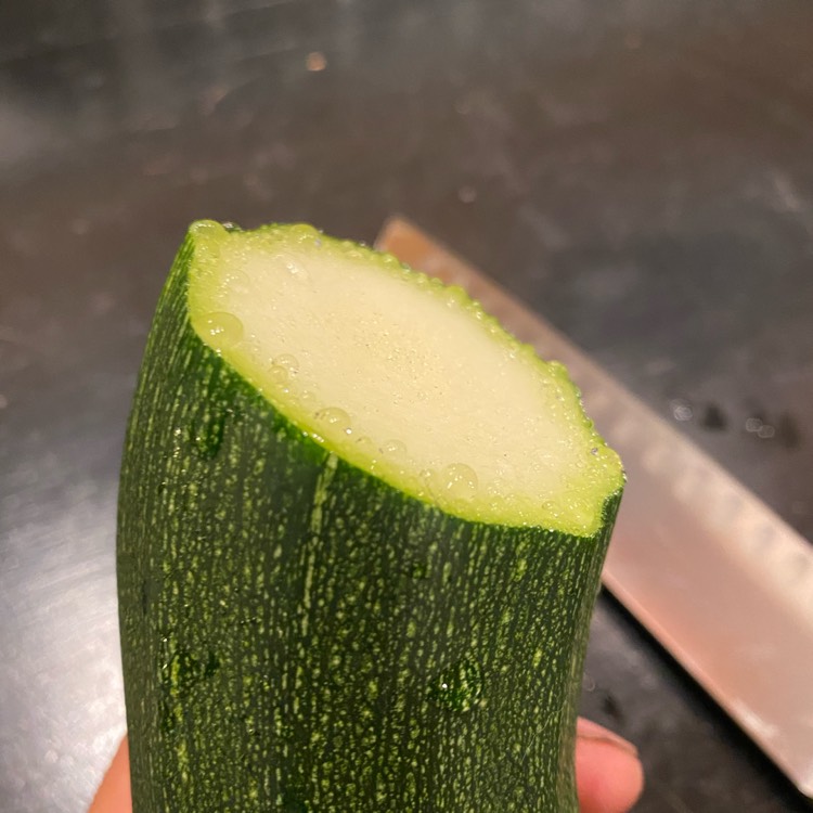 plant image 1365178