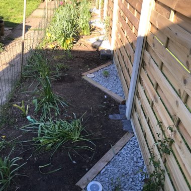 Colin's garden