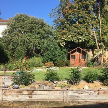 June's garden
