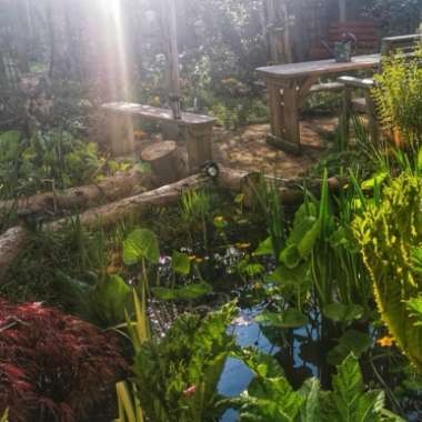 Marjorie's garden