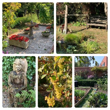 Nicola's garden