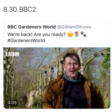 Nicola's garden