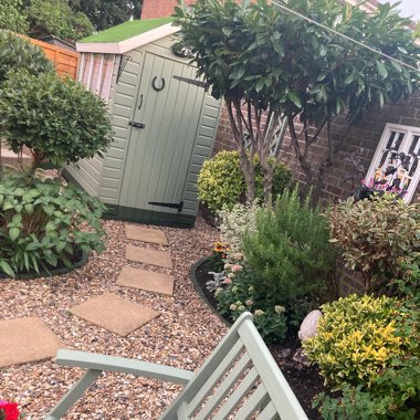 Warren's garden
