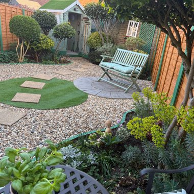 Warren's garden