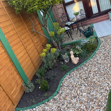 Warren's garden