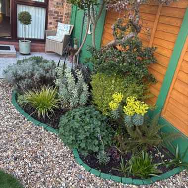 Warren's garden