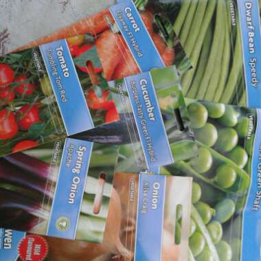 Cathy's garden