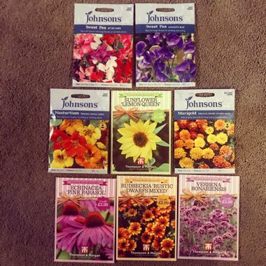 Rianne's garden