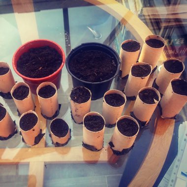 Rianne's garden