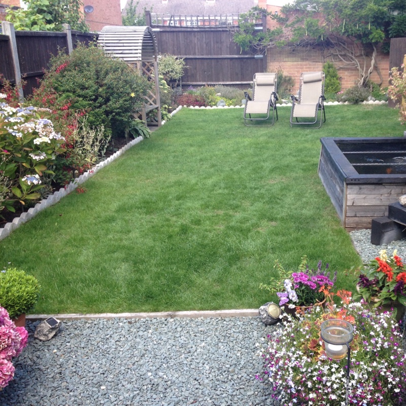 Jane's garden